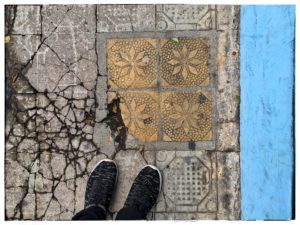 Read more about the article Gaderne i Antigua