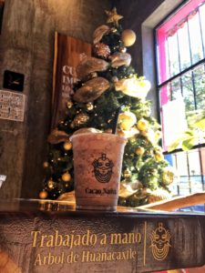 Read more about the article Cacao Nativa – et must i San Cristóbal de las Casas